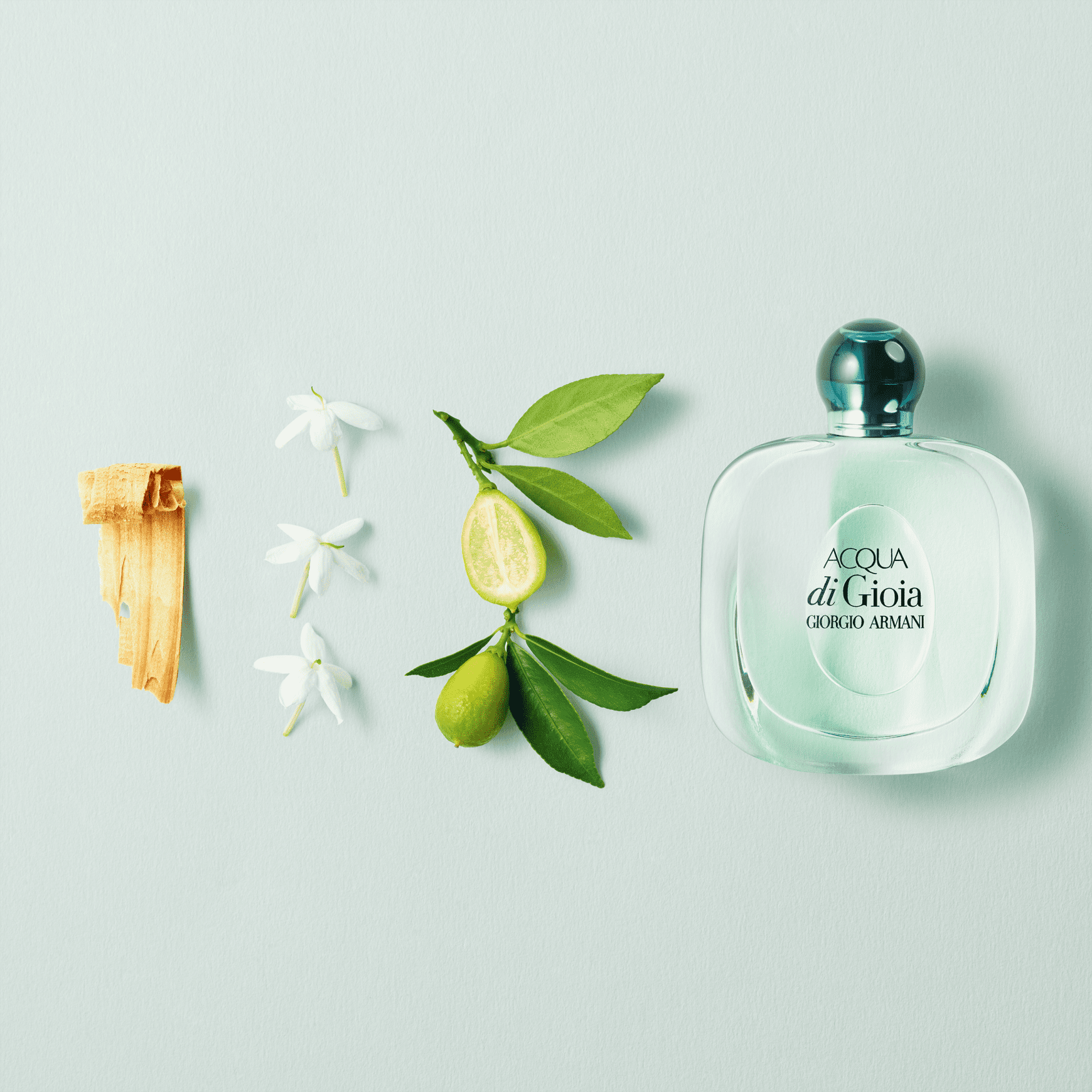 Acqua di Gioia Giorgio Armani Eau de Parfum - Perfume Feminino 100ml