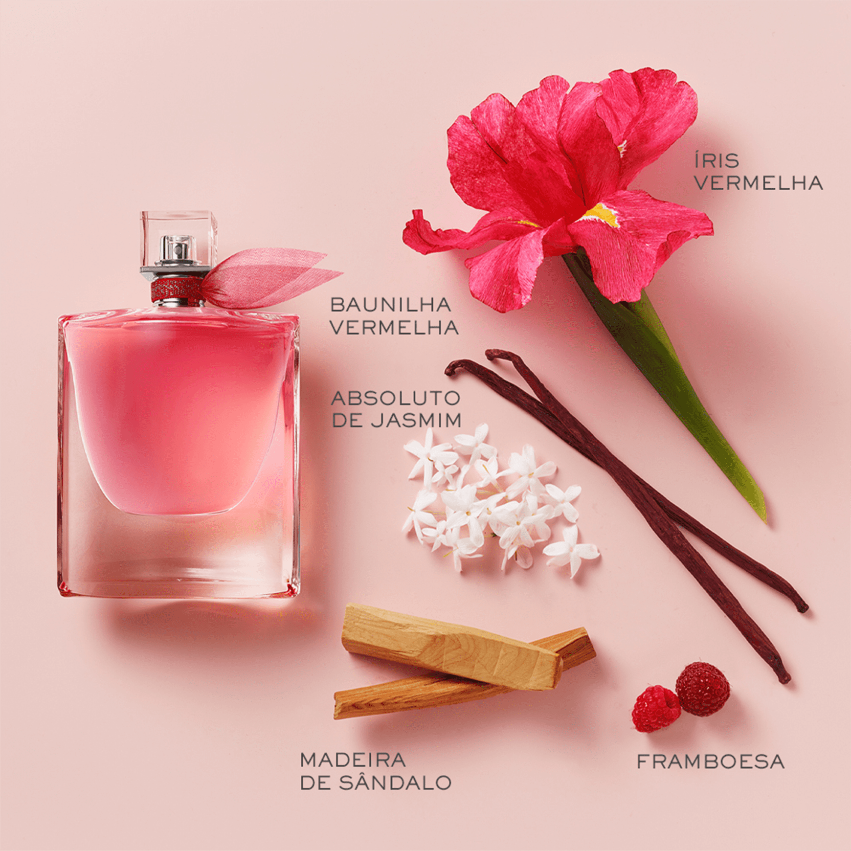 La Vie Est Belle Intensement Lancome Perf Fem Beleza na Web