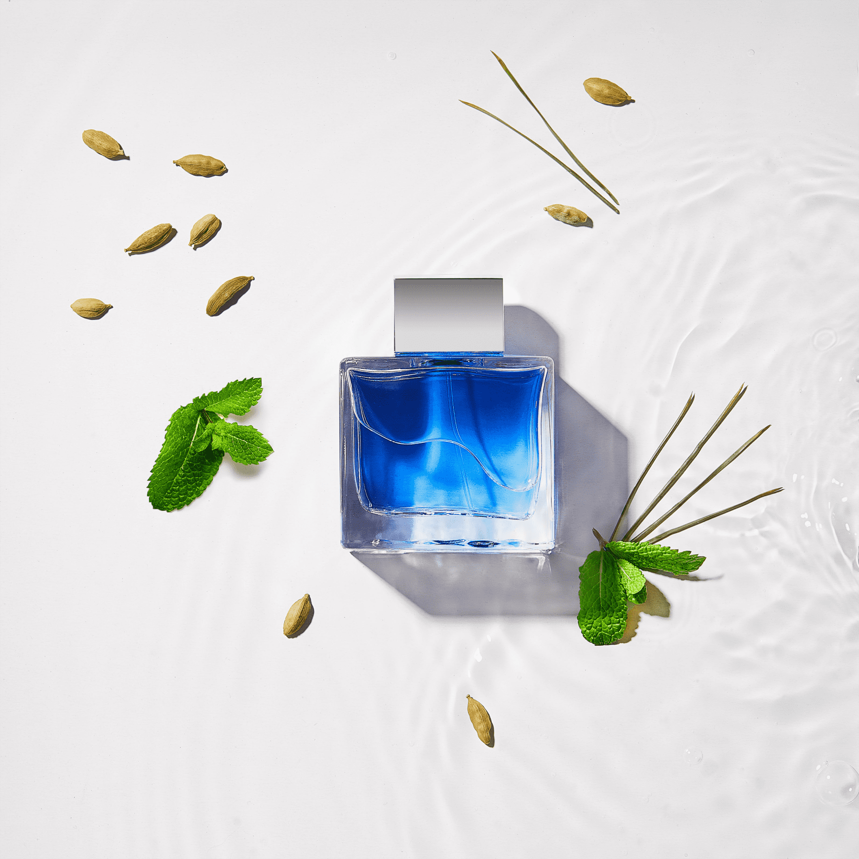 Blue Seduction Antonio Banderas Eau de Toilette - Perfume Masculino 50ml