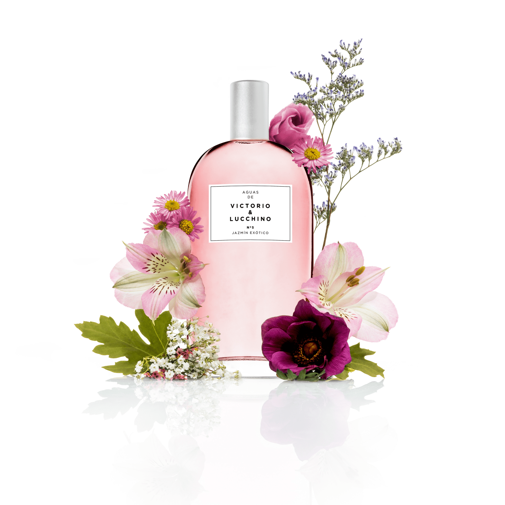 Victorio Y Lucchino Colonia Jazmin Perfume Nº 5 Jazmín Exótico Victorio & Lucchino Feminino | Beleza na Web