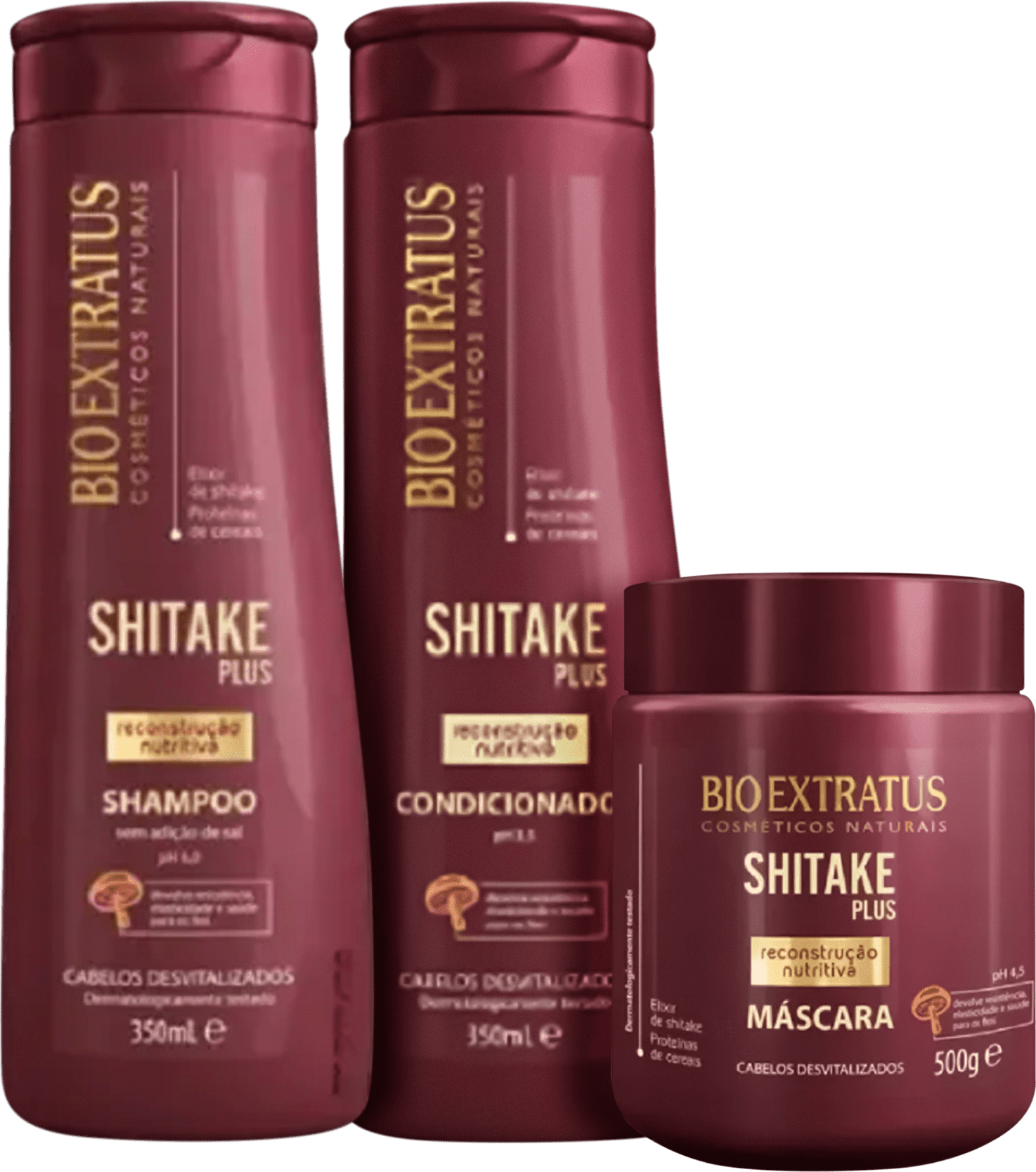 Kit Bio Extratus Shitake Cabelos Desvitalizados Completo