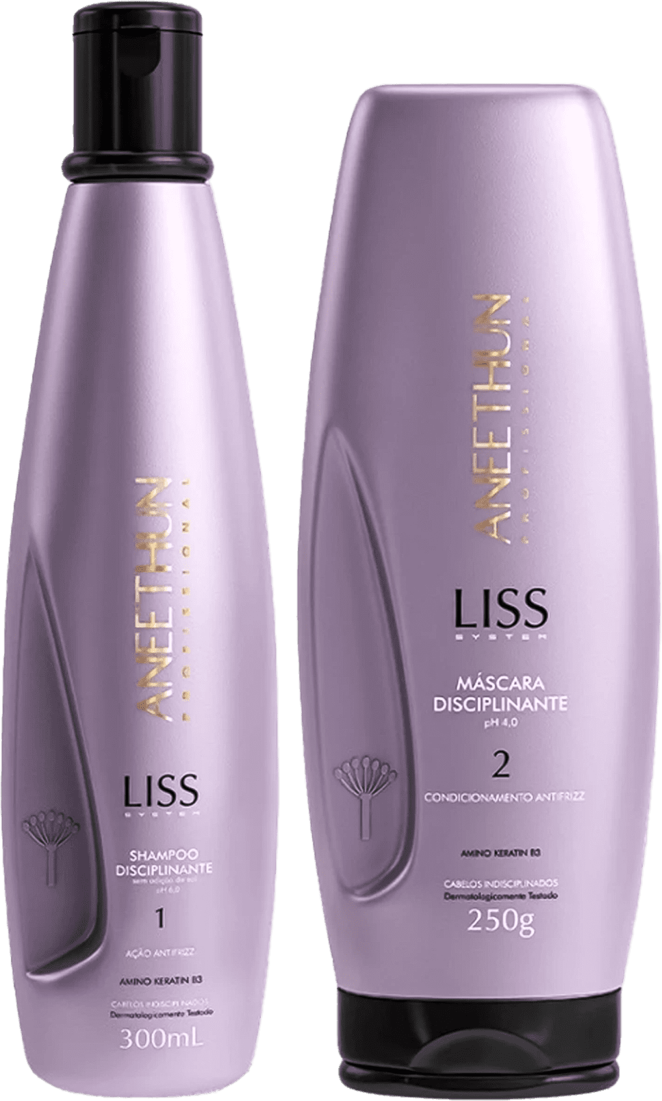 Kit Aneethun Liss System Liso Disciplinante Shampoo 300ml + Máscara 250g