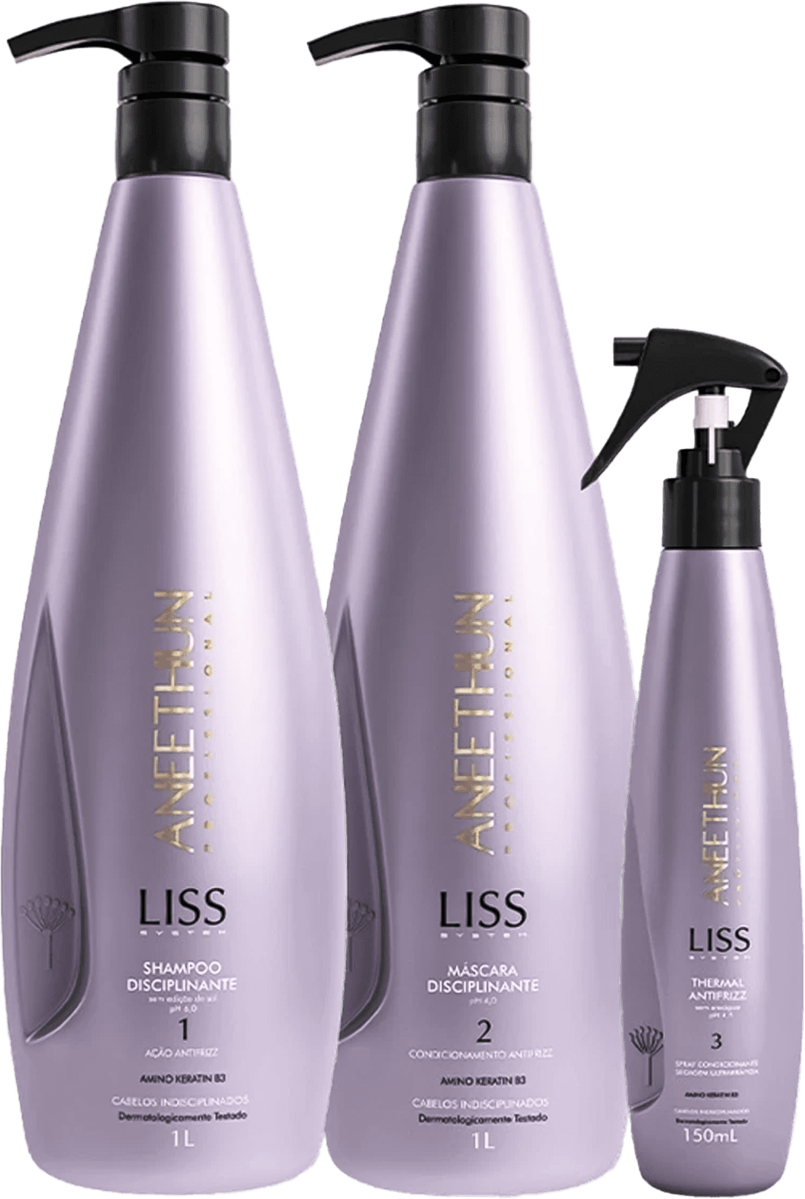 Kit Aneethun Liss System Trio Disciplinante Profissional