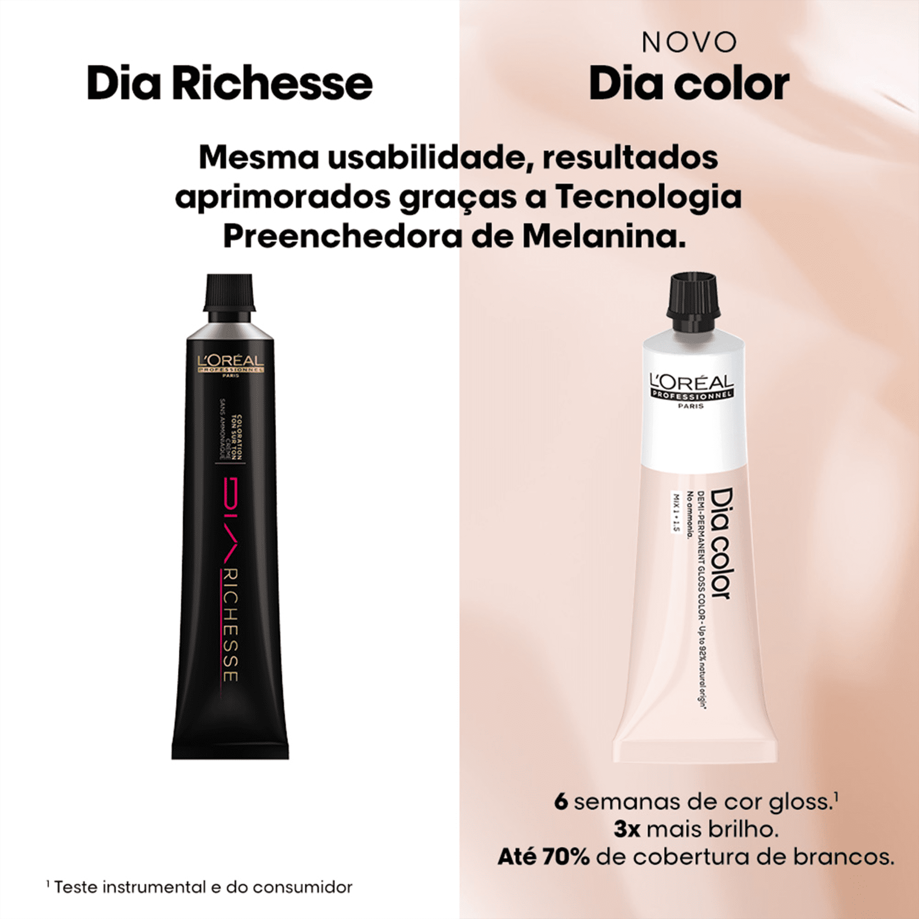 À esquerda, um tubo preto com o nome "Dia Richesse" e a descrição "Mesma usabilidade, resultados aprimorados graças a Tecnologia Preenchedora de Melanina".
À direita, um tubo branco com o nome "Novo Dia color" e "6 semanas de cor gloss"