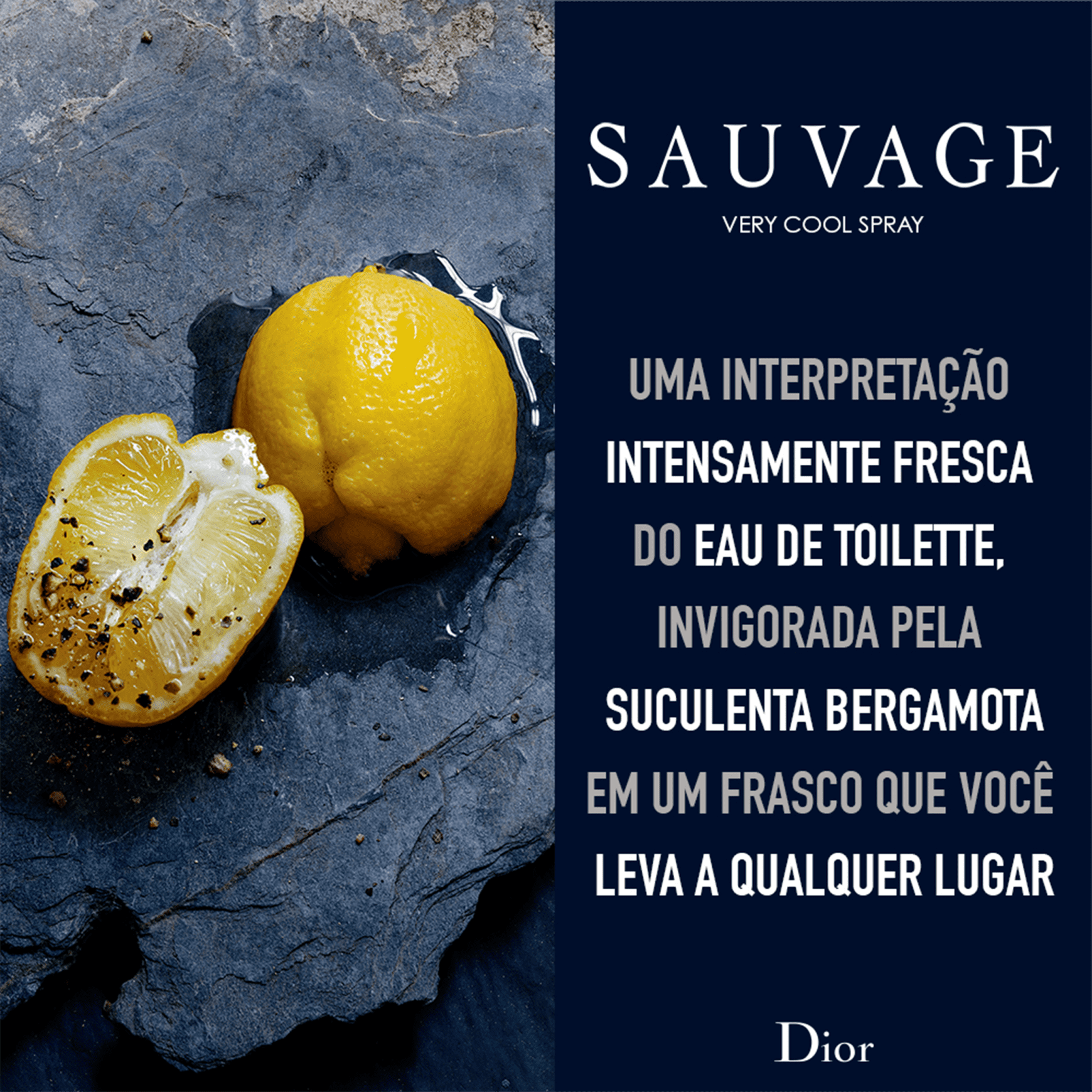Sauvage Very Cool Spray Dior Eau de Toilette - Perfume Masculino 100ml