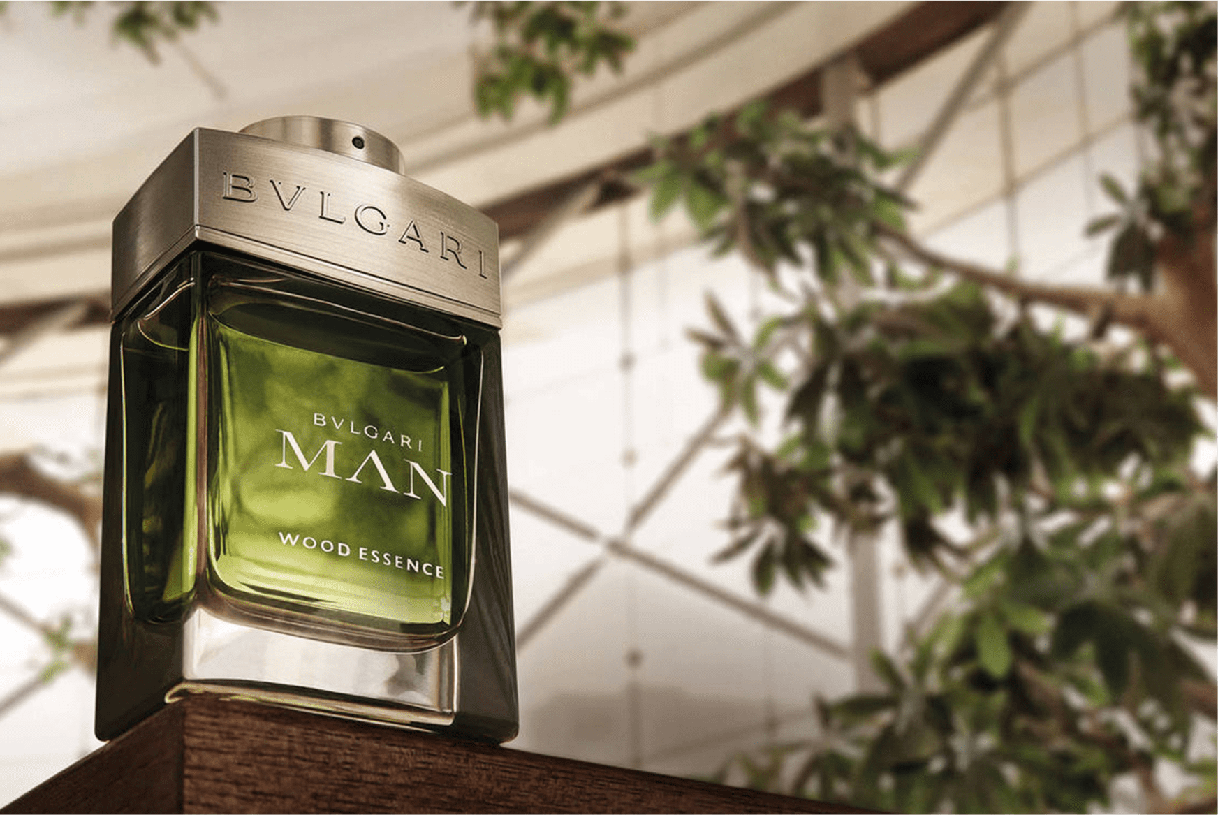 Wood Essence Man Bvlgari Eau de Parfum - Perfume Masculino 60ml