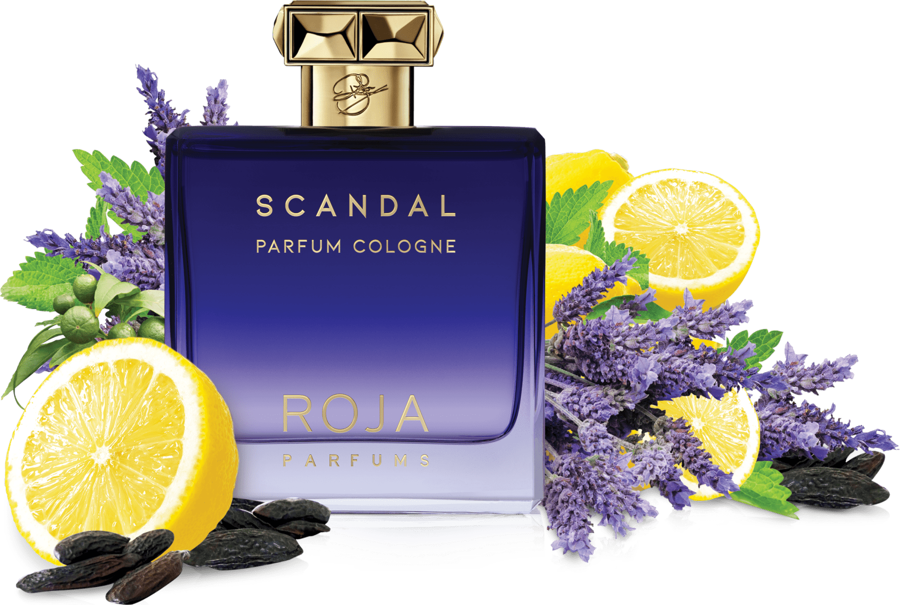 Roja Scandal Pour Homme Parfum Cologne - Perfume Masculino 100ml