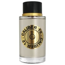Perfume Caliber 12 Jeanne Arthes Eau de Toilette Masculino 100ml