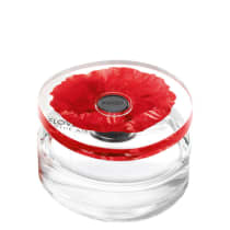 Flower In The Air Kenzo Eau de Parfum - Perfume Feminino 50ml