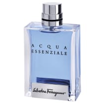 Perfume Acqua Essenziale Salvatore Ferragamo Masculino Eau de Toilette 100ml