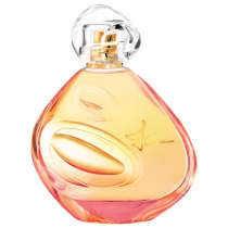 Perfume Izia Sisley Eau de Parfum Feminino 100ml