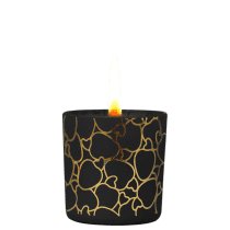 Phebo Isolda Flor de Cajueiro - Vela Perfumada 180g