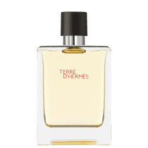 Perfume Terre d’Hermès Hermès Eau De Toilette Masculino 100ml