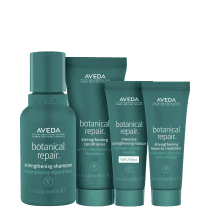 Kit Aveda Botanical Repair Mini Light (4 Produtos)