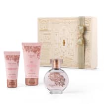 Imagem do produto Mini Kit Presente Natal Floratta Rose (3 itens)