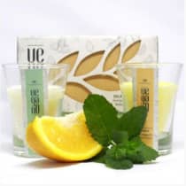 Madressenza Vegano Laranja e Hortelã - Velas Aromáticas 2x30g