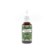 Fleur Estudante Provas e Exames - Floral de Bach 30ml