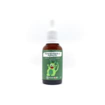 Fleur Kids Hiperatividade e Agitação - Floral de Bach 30ml