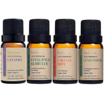 Kit 4 Óleo Essencial 100% Puro Top Aromaterapia Via Aroma