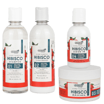 Kit Vegetal do Brasil Hibisco (4 Produtos)