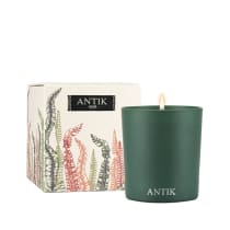 ANTIK Figo do Mediterrâneo - Vela Perfumada 190g