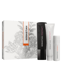 Kit Sebastian Professional Penetraitt + Potion 9 (3 Produtos)