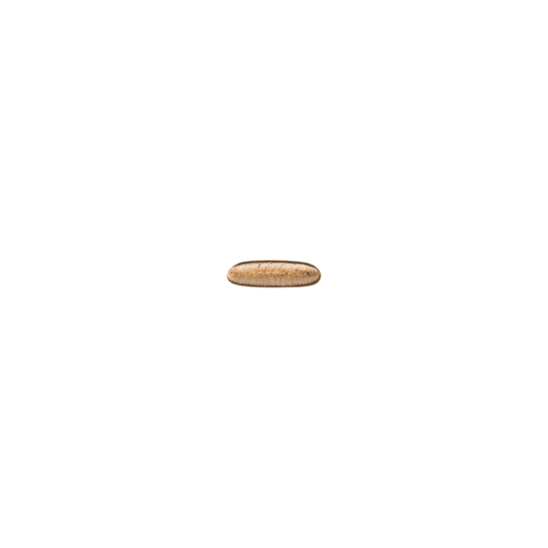 M·A·C 212 Flat Definer - Pincel de Maquiagem
