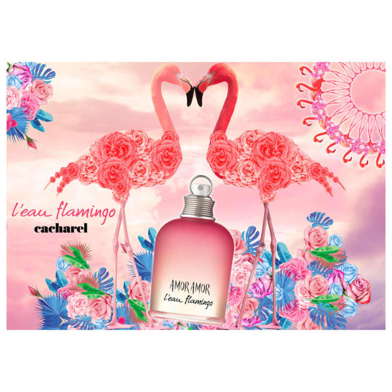 Amor Amor L'Eau Flamingo Cacharel Eau de Toilette - Perfume Feminino 50ml