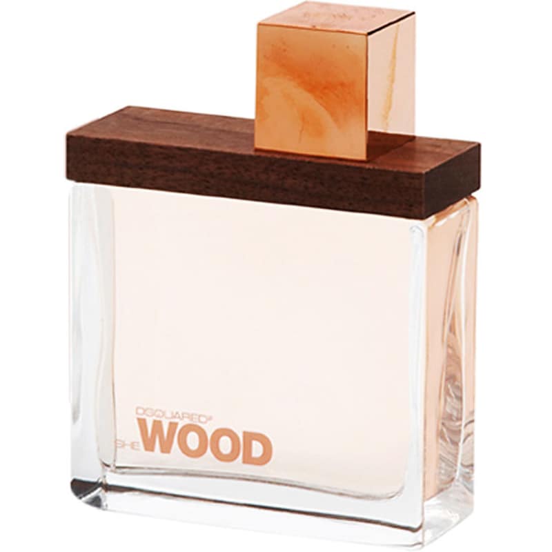 she wood dsquared2 feminino