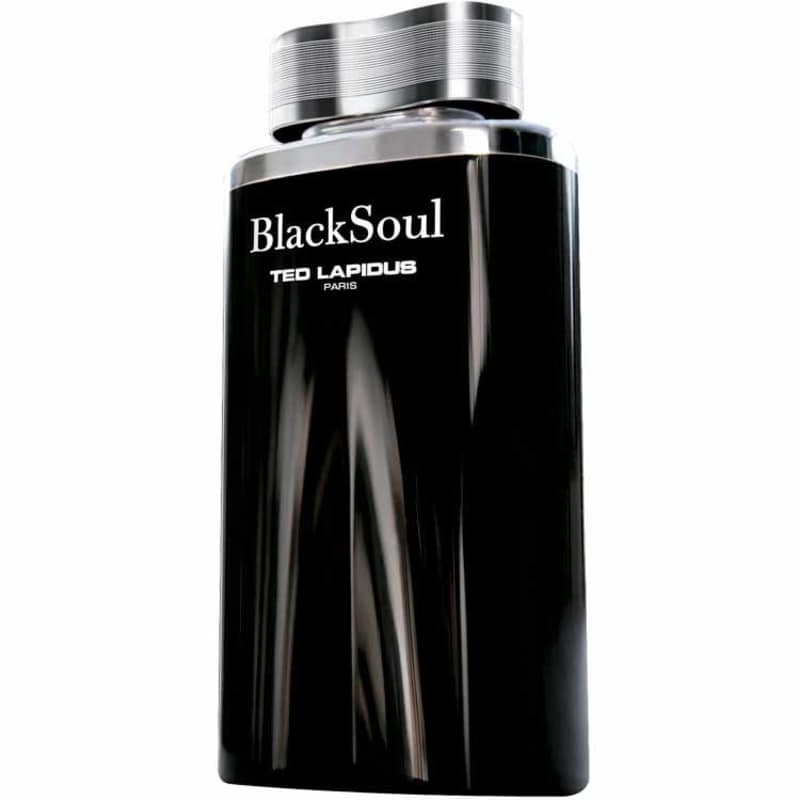 Black Soul Ted Lapidus Eau de Toilette - Perfume Masculino 50ml Menor preço em Black Soul Ted Lapidus Eau de Toilette - Perfume Masculino 50ml