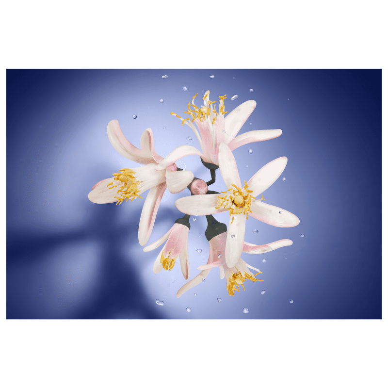 La Vie Est Belle Lancôme Eau de Parfum - Perfume Feminino 75ml