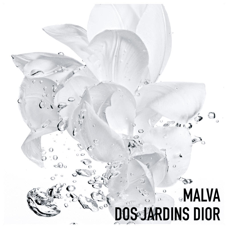 Dior Hydra Life Sorbet Crème - Hidratante Facial 50ml