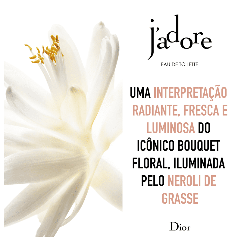 J'adore Dior Eau de Toilette - Perfume Feminino 100ml