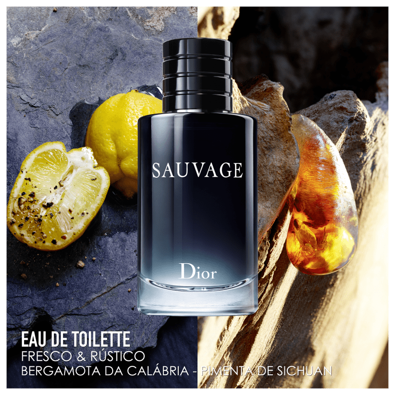 Sauvage Dior Eau de Toilette - Perfume Masculino 100ml
