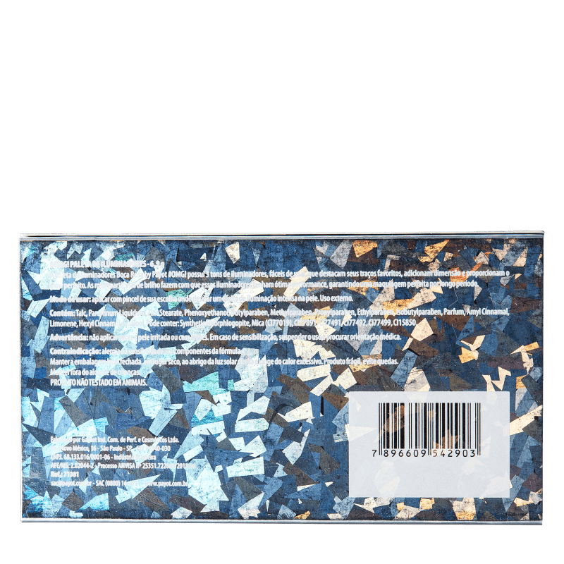 Payot Boca Rosa OMG - Paleta de Iluminador 6,9g