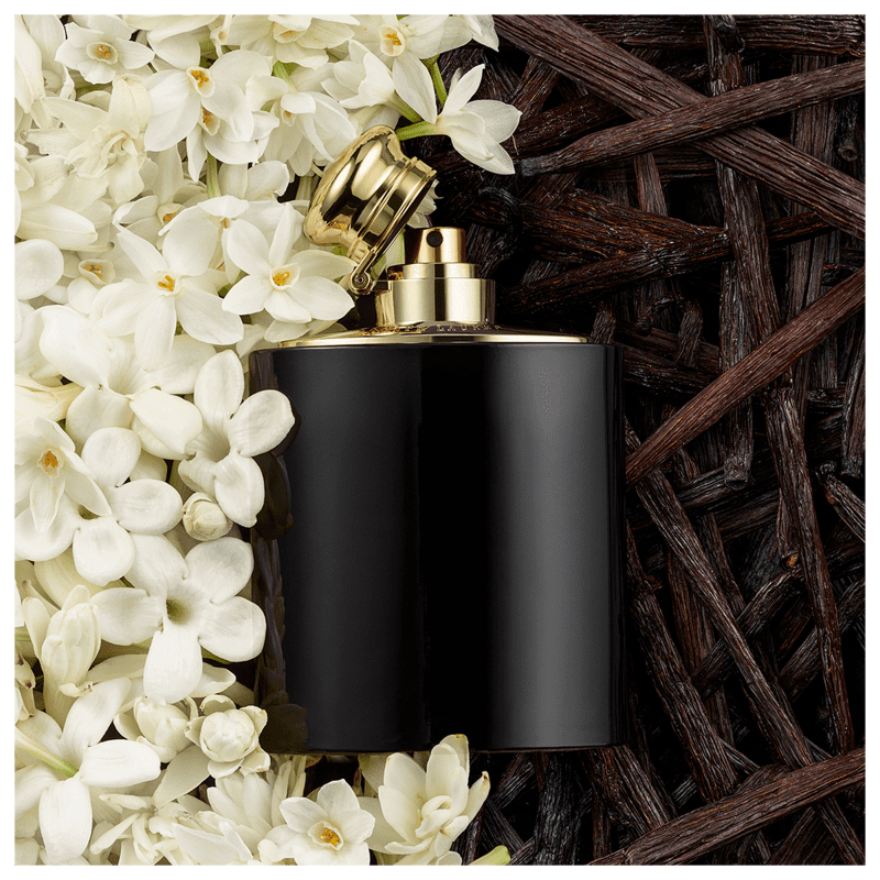 Woman Intense Ralph Lauren Eau de Parfum - Perfume Feminino 100ml