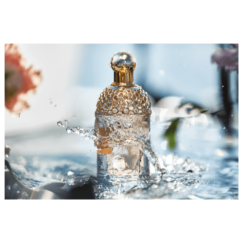 Perfume Guerlain Aqua Allegoria Pamplume Eau de Toilette 75ml