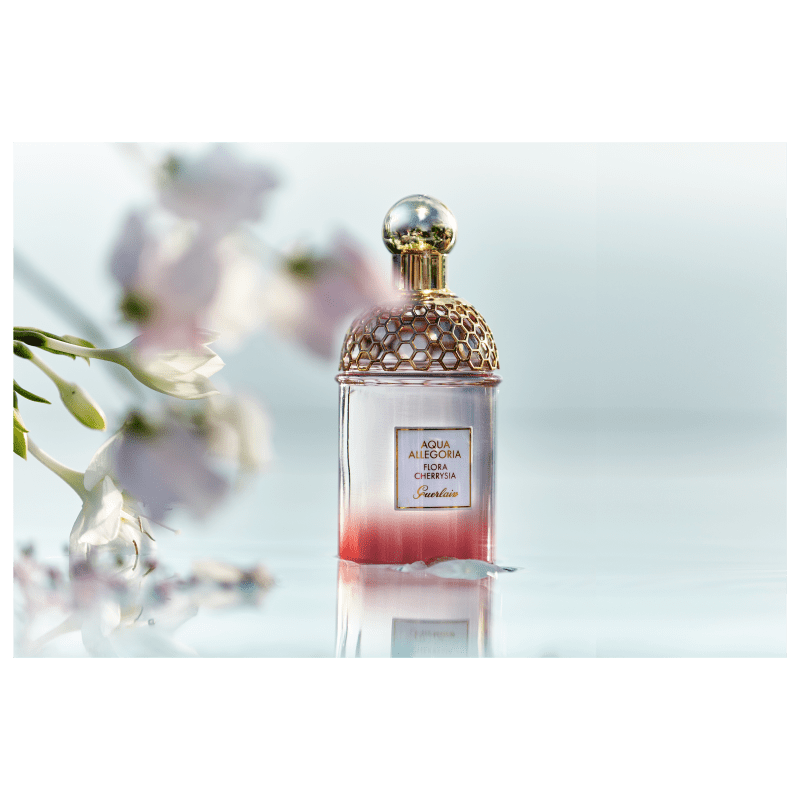 Perfume Guerlain Aqua Allegoria Flora Cherrysia Eau de Toilette 75ml