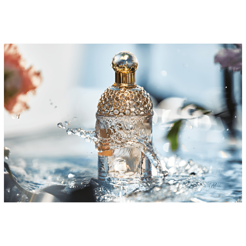 Perfume Guerlain Aqua Allegoria Flora Cherrysia Eau de Toilette 75ml