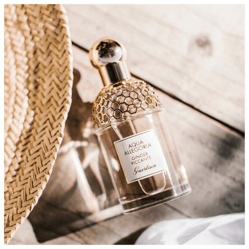 Perfume Guerlain Aqua Allegoria Ginger Piccante Eau de Toilette 75ml