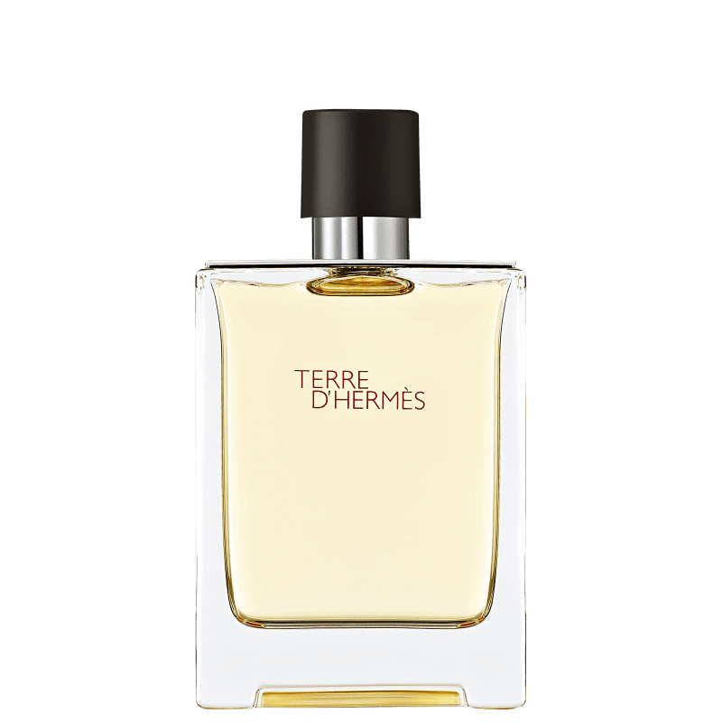 Terre d’Hermès Hermès Eau de Toilette - Perfume Masculino 100ml Menor preço em Terre d’Hermès Hermès Eau de Toilette - Perfume Masculino 100ml
