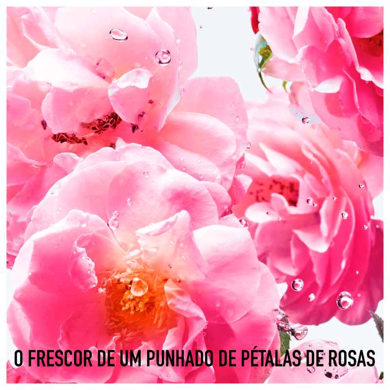 Miss Dior Rose N'Roses Eau de Toilette - Perfume Feminino 100ml