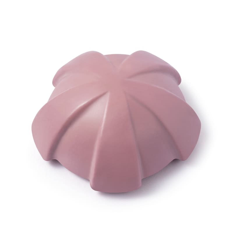 Shampoo em barra Nativa SPA Ameixa 75g O Boticário