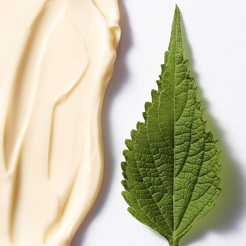 Shiseido Future Solution LX Total Regenerating - Creme Anti-Idade Noturno 50ml