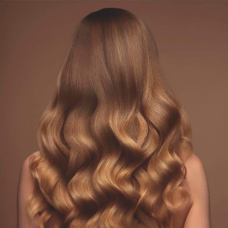 Shampoo Siàge Nutri Ouro 250ml (Nova Versão)
