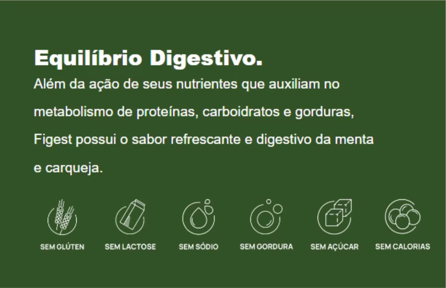 Suplemento Alimentar Biofhitus Figest Menta com Carqueja, 240ml.