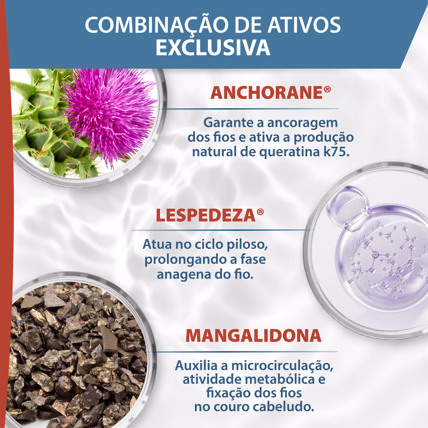 A imagem destaca a combinação exclusiva dos 3 ativos da fórmula: Anchorane: Garante a ancoragem dos fios. Lespedeza: Atua na fase de crescimento do fio. Mangalidona : Auxilia n fixação dos fios no couro cabeludo.