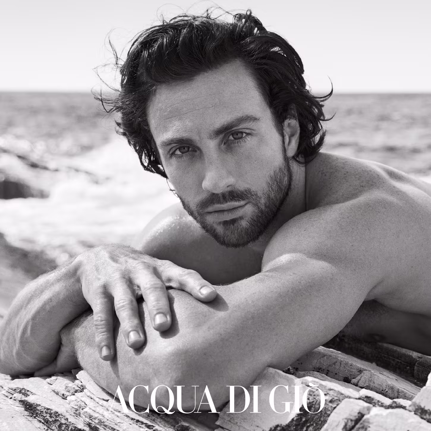 A imagem mostra uma fotografia em preto e branco de um homem branco com cabelos escuros esvoaçantes, ele está em cima de uma pedra apoiando os braços e ao fundo é possível ver o mar.