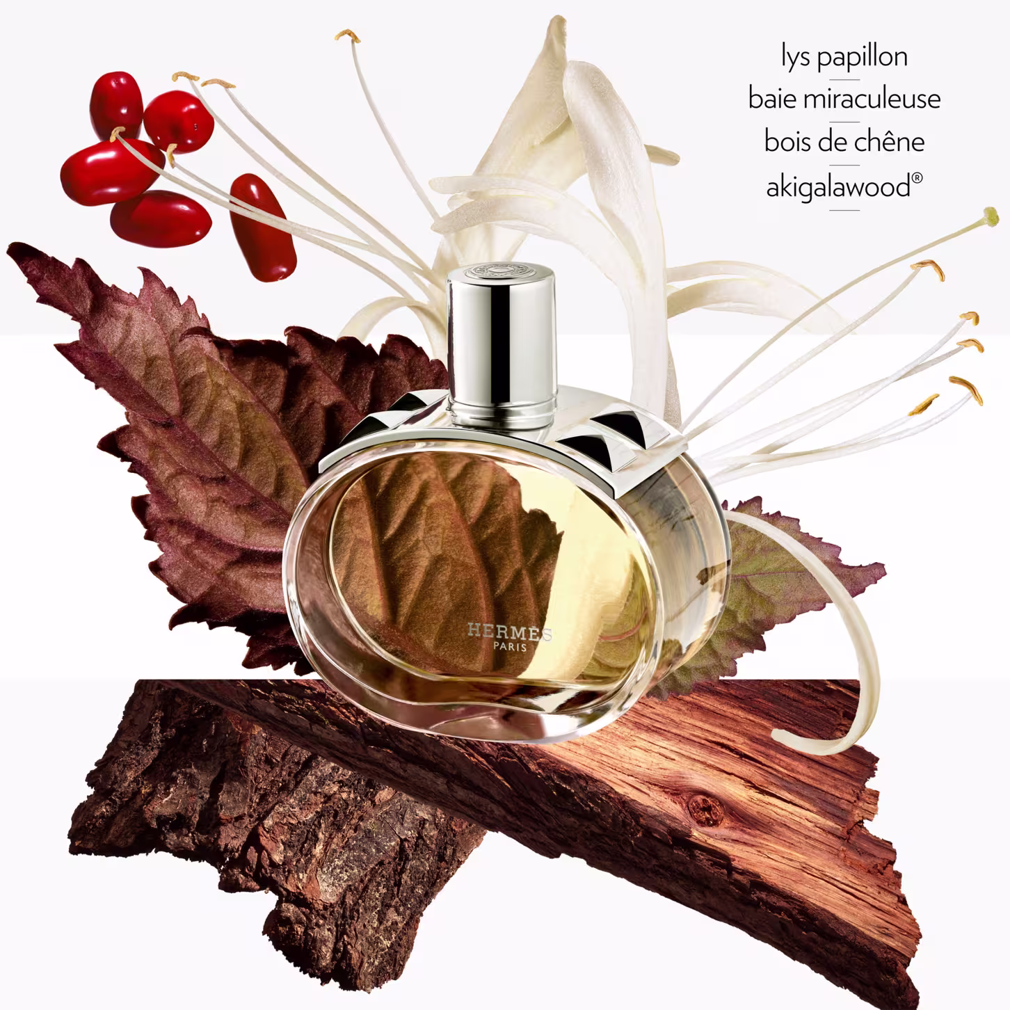 Imagem mostra o Perfume Hermès e os elementos da sua pirâmide olfativa . A composição inclui lys papillon (lírio), baie miraculeuse (baga milagrosa), bois de chêne (madeira de carvalho) e akigalawood.