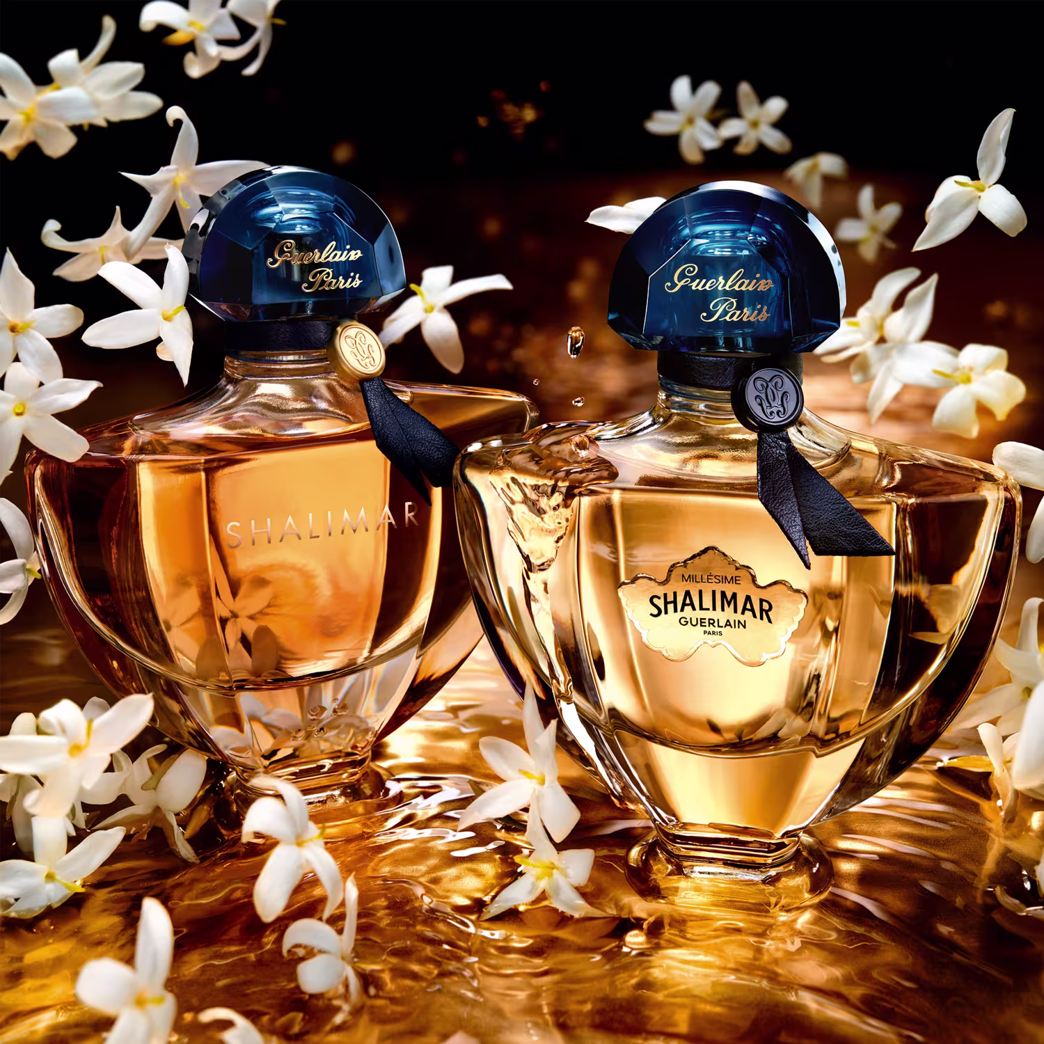 A imagem mostra dois frascos de perfumes arredondados com tampas azuis.